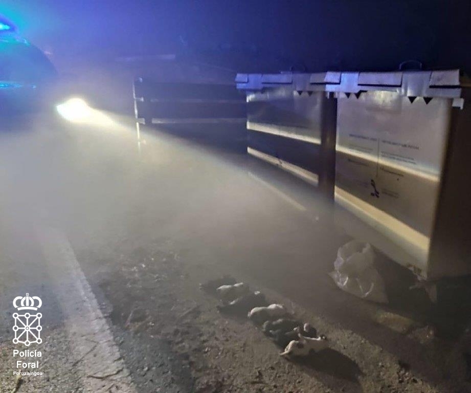 Une portée de huit chiots abandonnés dans une benne à Tierra Estella.