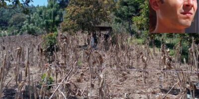 Ils enquêtent au Guatemala sur la mort d&rsquo;un touriste espagnol pendu nu à un arbre et avec des traces de sang sur son corps