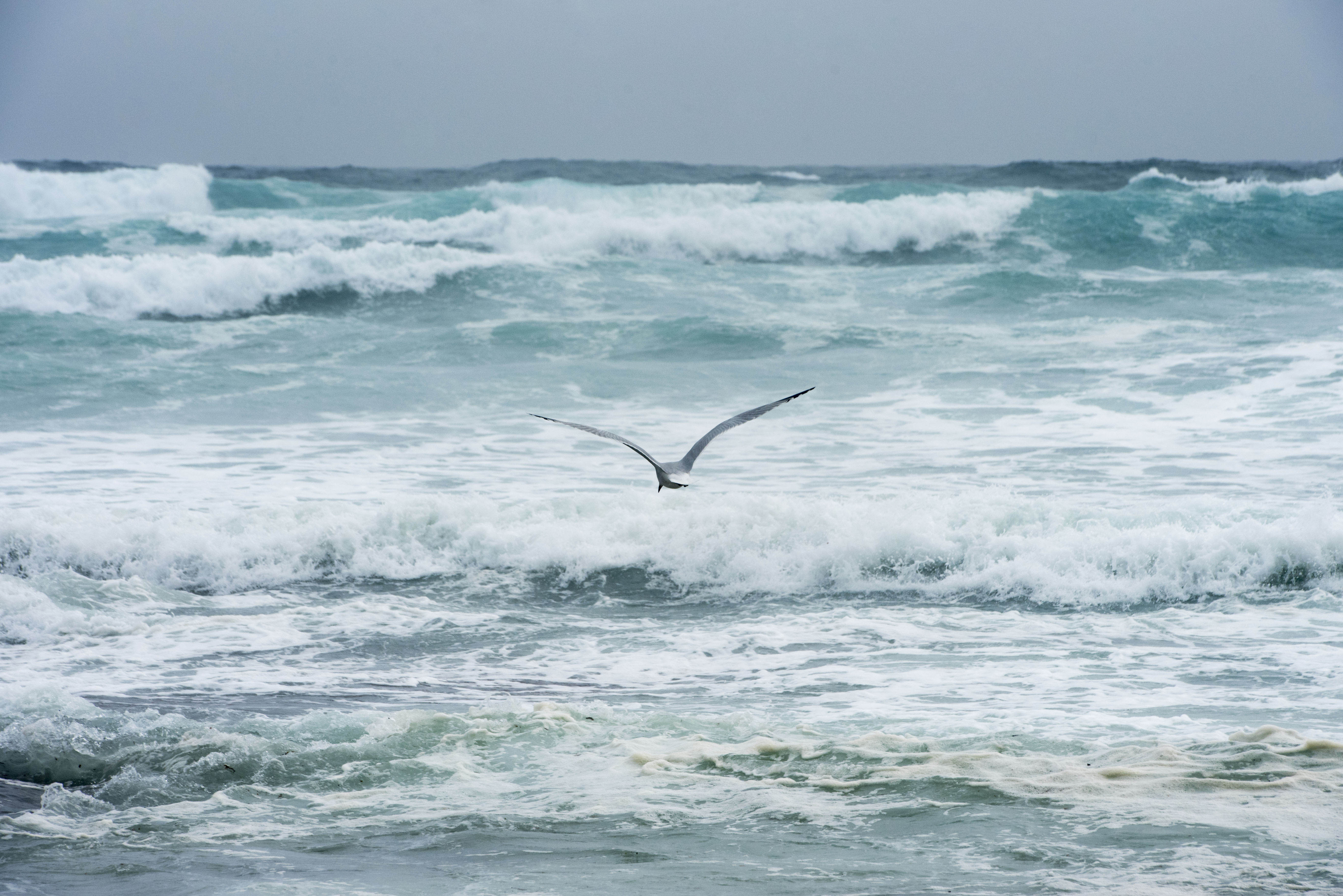 De grosses vagues se sont formées à Punta Prima, Minorque.  La tempête "Celia" qui est entrée