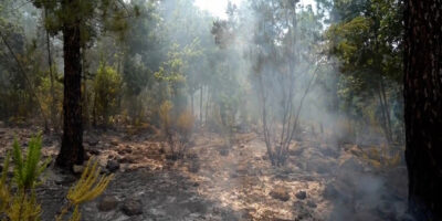 Un changement de direction du vent aggrave l&rsquo;incendie de Tenerife qui a déjà détruit 2 000 hectares et atteint le parc national du Teide