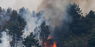 Le vent intensifie les incendies en Galice: la Xunta demande de réactiver le niveau 2 à Carballeda de Valdeorras et Folgoso do Courel
