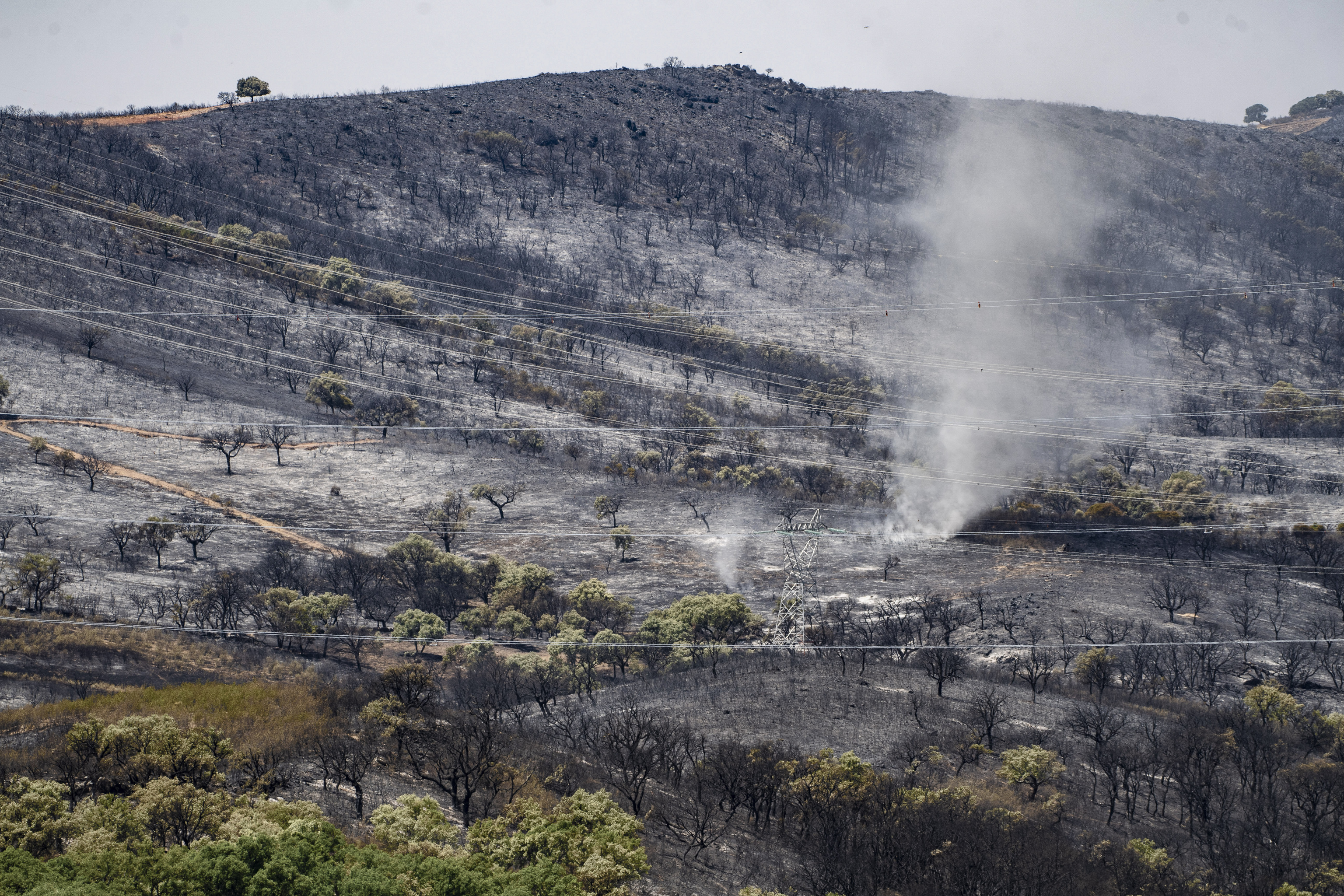 Zone dévastée par l'incendie de Deleitosa, C