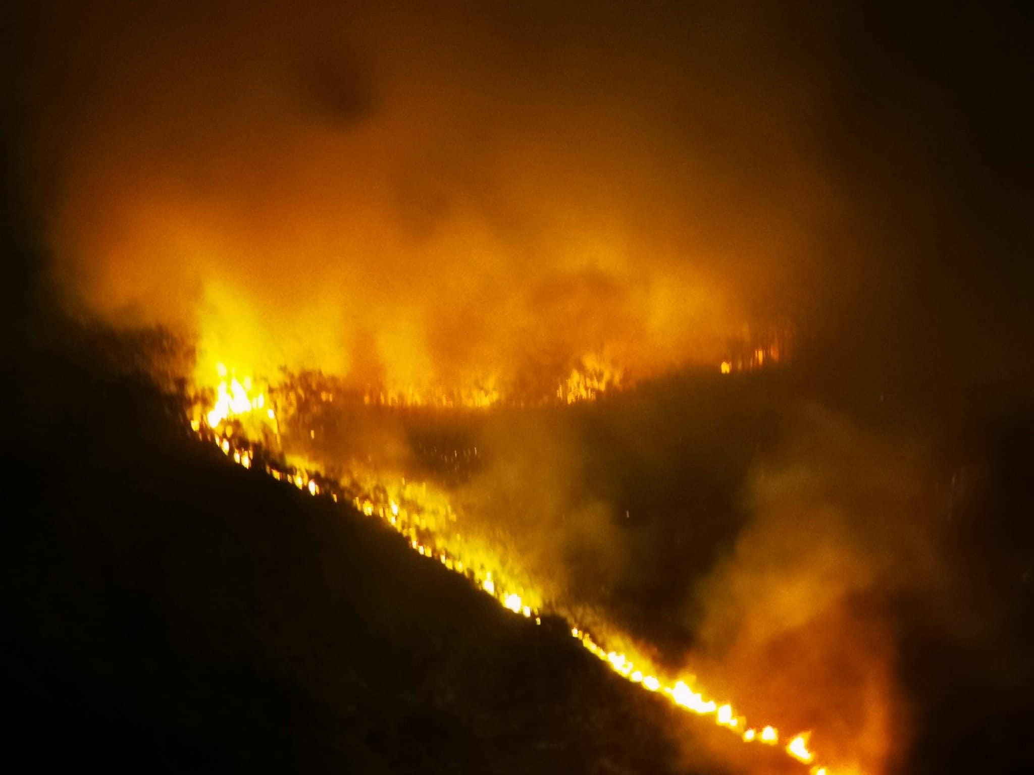Le feu traverse la Garganta de los Infiernos, dans la Valle del Jerte.