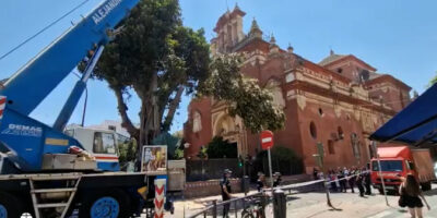 Le maire de Séville, allié à l&rsquo;Église pour abattre un arbre centenaire à Triana