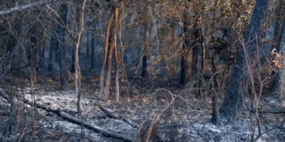 L&rsquo;incendie en Galice est « pratiquement périmétrique », Alicante demande l&rsquo;aide de l&rsquo;UME et les habitants de Saragosse vivent une nuit tendue