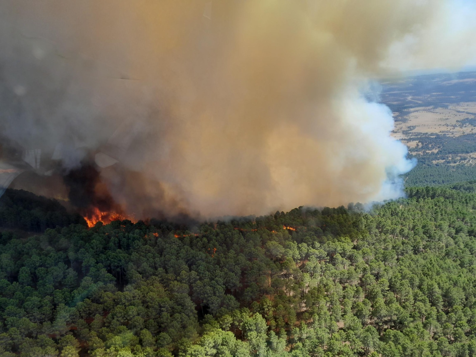 Incendie à Santa Cruz del Valle.