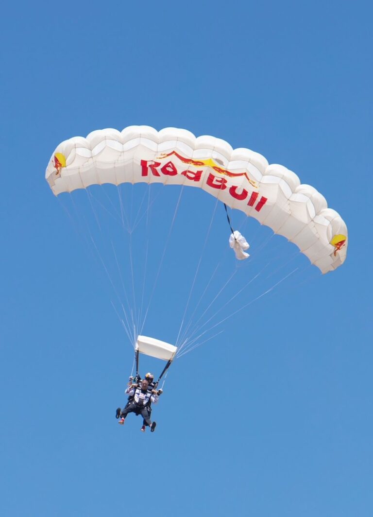 encinal-brands-lance-un-nouveau-blueberry-red-bull-shake-dans-jpg