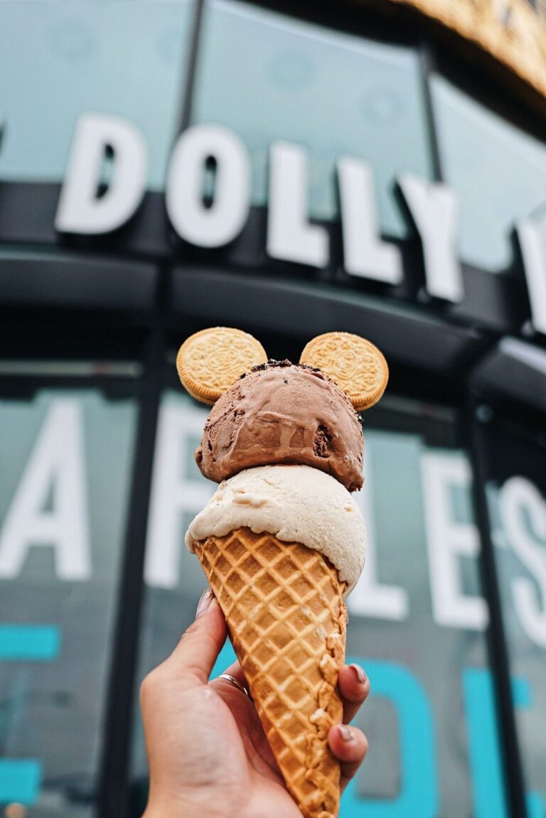 le-dolly-llama-celebrera-ses-debuts-en-floride-avec-louverture-jpg