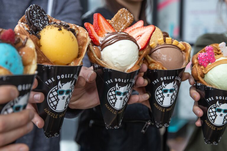 le-dolly-llama-ouvrira-ses-portes-en-floride-marquant-le-jpg