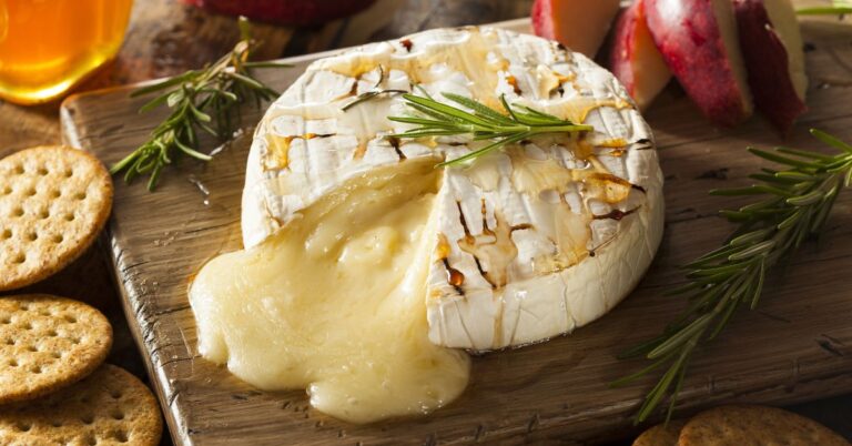 15 recettes de camembert, du four au frit
