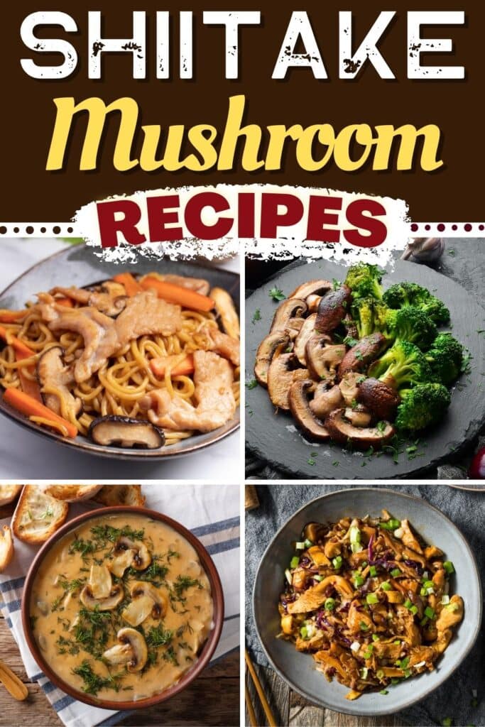 Recettes de champignons shiitake