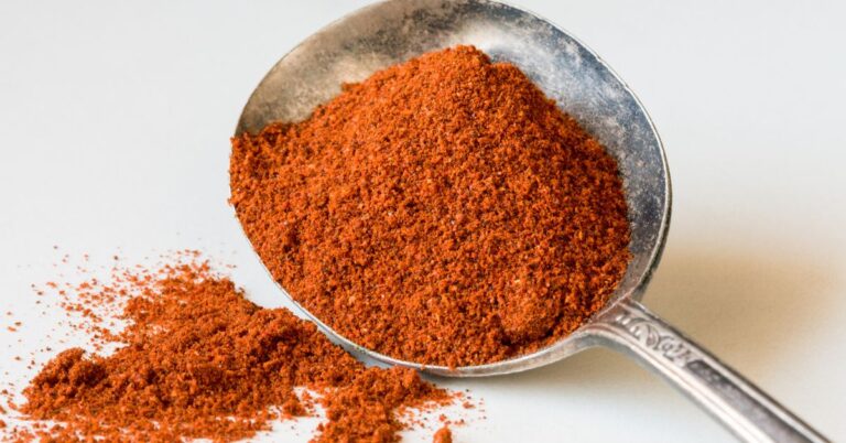 11 meilleurs substituts de poudre de chipotle