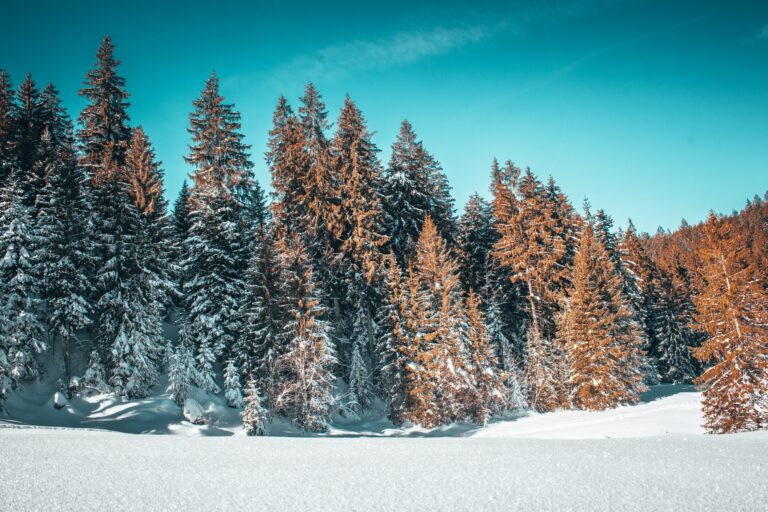 les-meilleures-recettes-a-faire-en-fevrier-2