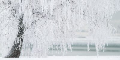 Les meilleures recettes à faire en Janvier