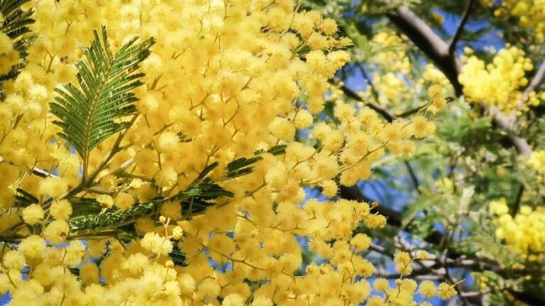 les-meilleures-recettes-a-faire-en-mars-2