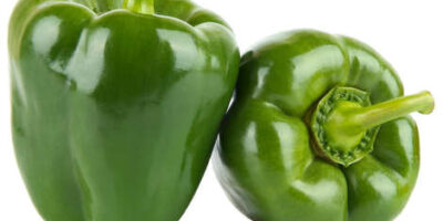 Notre recette aux poivrons vert