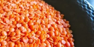 Réussir la cuisson des lentilles corail