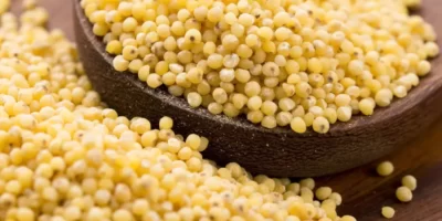 Réussir la cuisson du millet