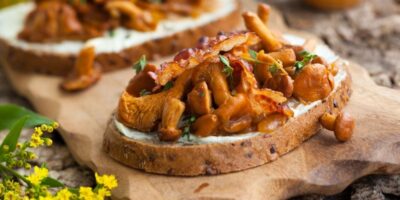10 meilleures recettes de chanterelles