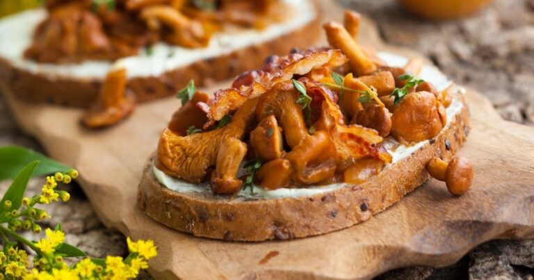 10 meilleures recettes de chanterelles