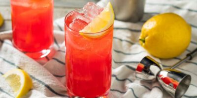 17 cocktails classiques au gin