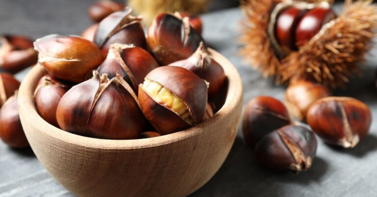 20 meilleures recettes de châtaignes