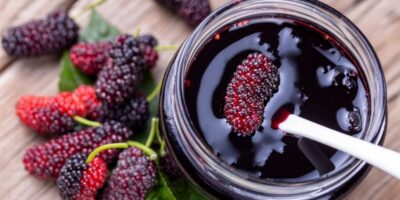 20 meilleures recettes de mûrier