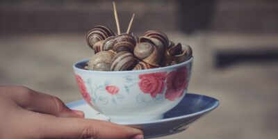 Que servir avec des escargots de bourgogne :  5 idées d&rsquo;accompagnements