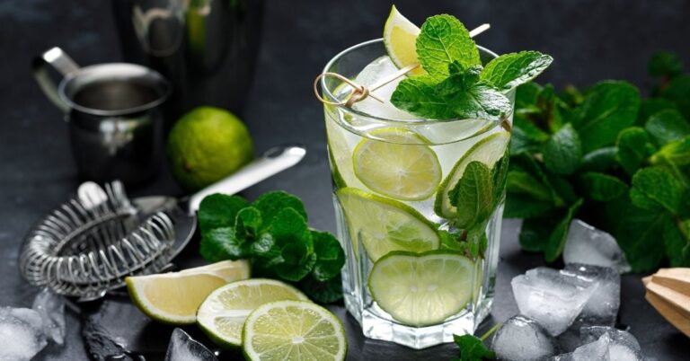 30 meilleures recettes à la menthe pour titiller vos papilles