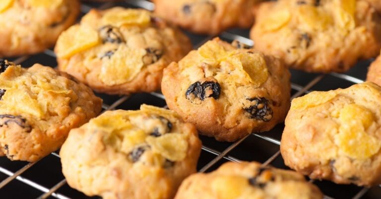 17 biscuits aux céréales faciles à manger pour le petit déjeuner