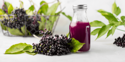 14 fruits qui commencent par E