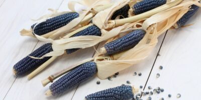 15 légumes bleus du monde entier