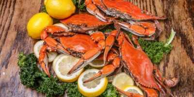 17 recettes faciles de crabe bleu (plats que vous adorerez)