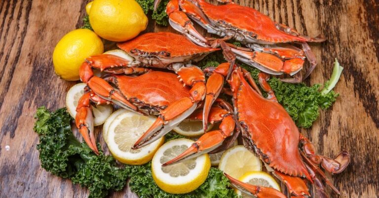 17 recettes faciles de crabe bleu (plats que vous adorerez)