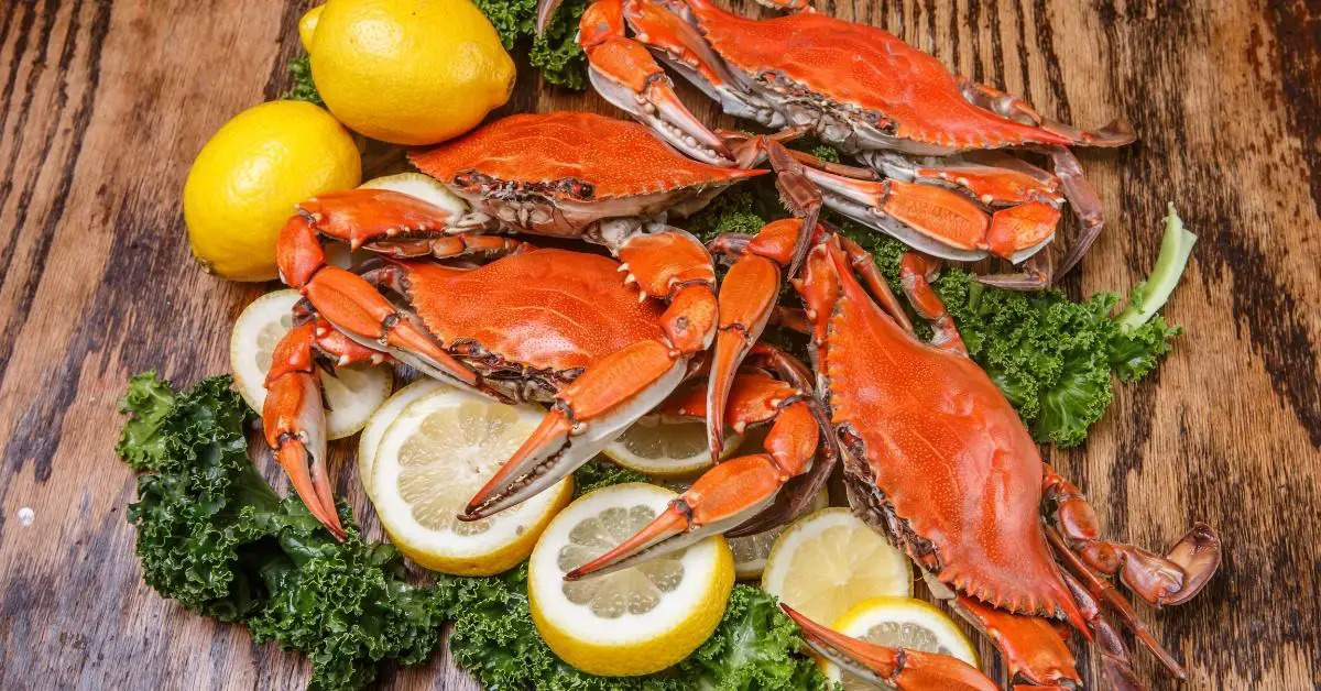17 recettes faciles de crabe bleu (plats que vous adorerez)