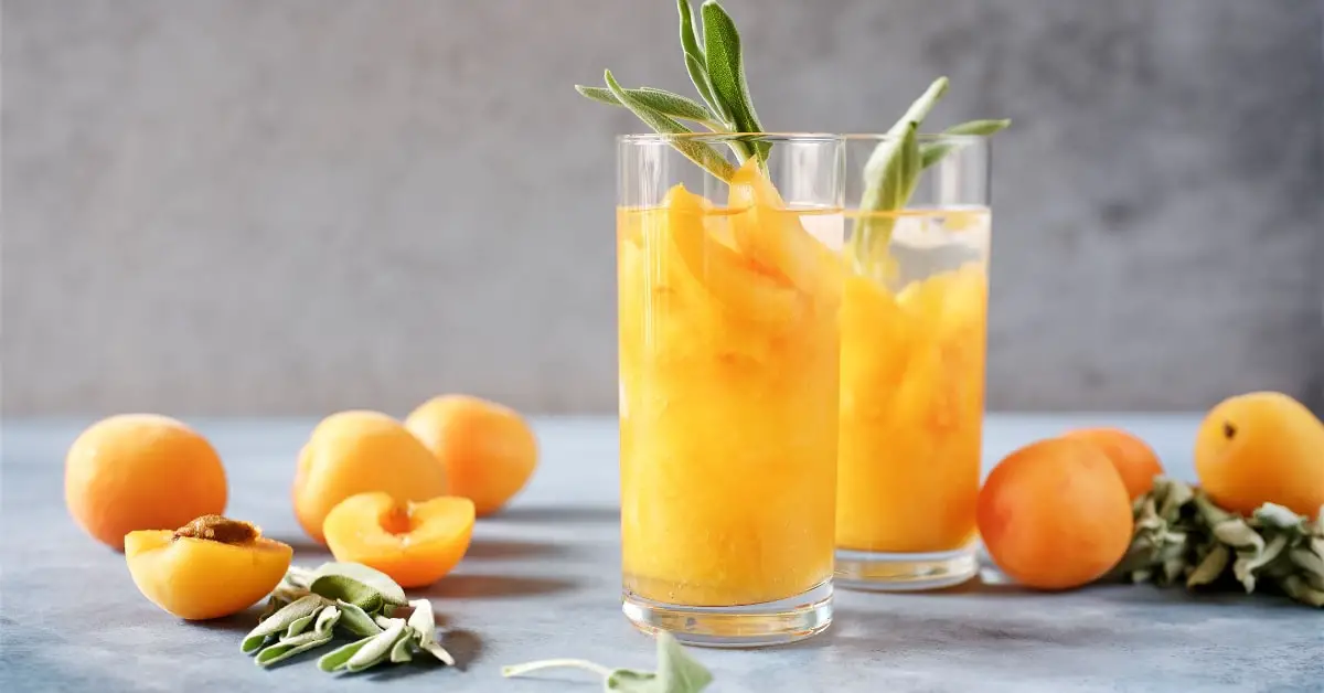 25 meilleures idées de cocktails et de boissons à l'abricot