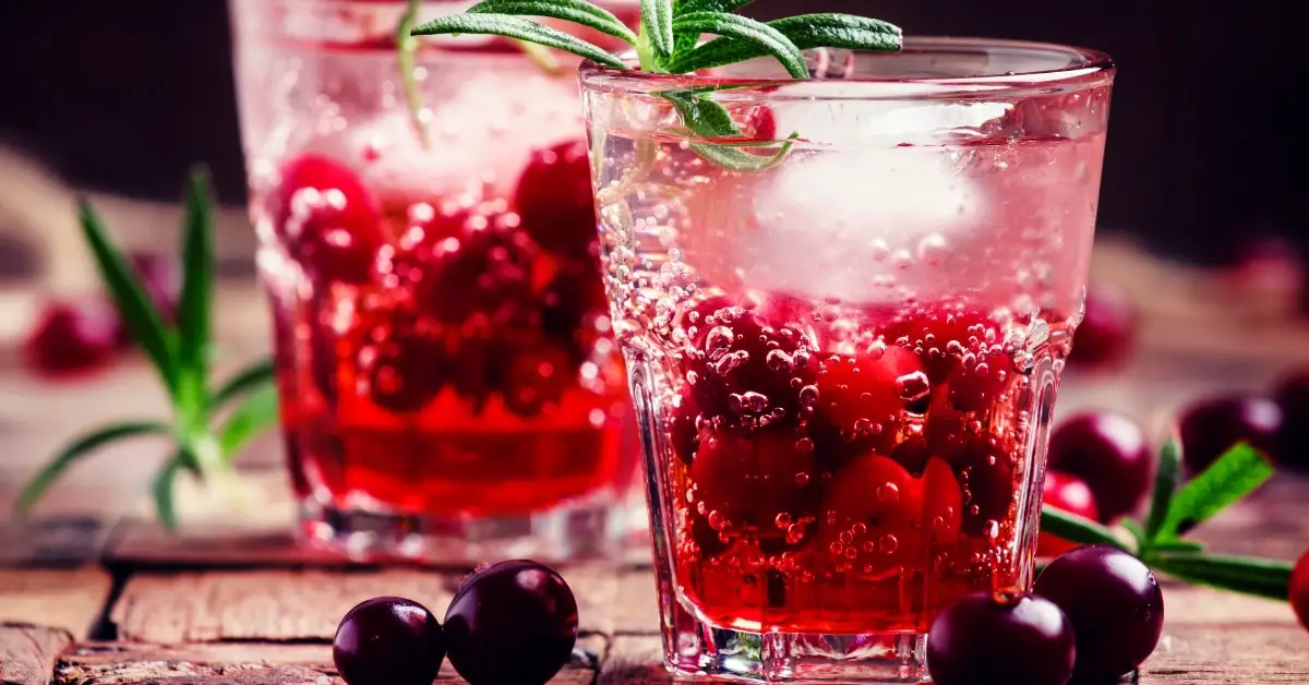 10 meilleurs cocktails et boissons au gin de Noël