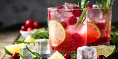 15 meilleurs cocktails de vodka aux canneberges (+ recettes faciles)