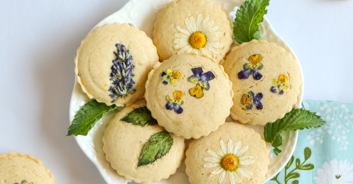 23 Biscuits aux Herbes (+ Recettes Faciles)