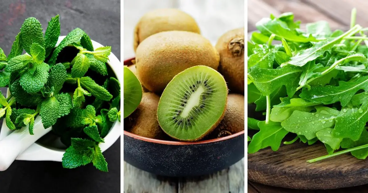 23 aliments verts qui sont merveilleux pour votre santé