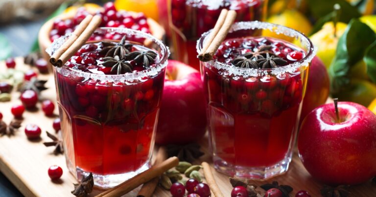 23 cocktails de Noël faciles aux canneberges pour les fêtes