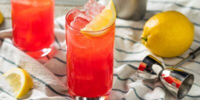 10 meilleurs cocktails au gin et à la prunelle à essayer à la maison