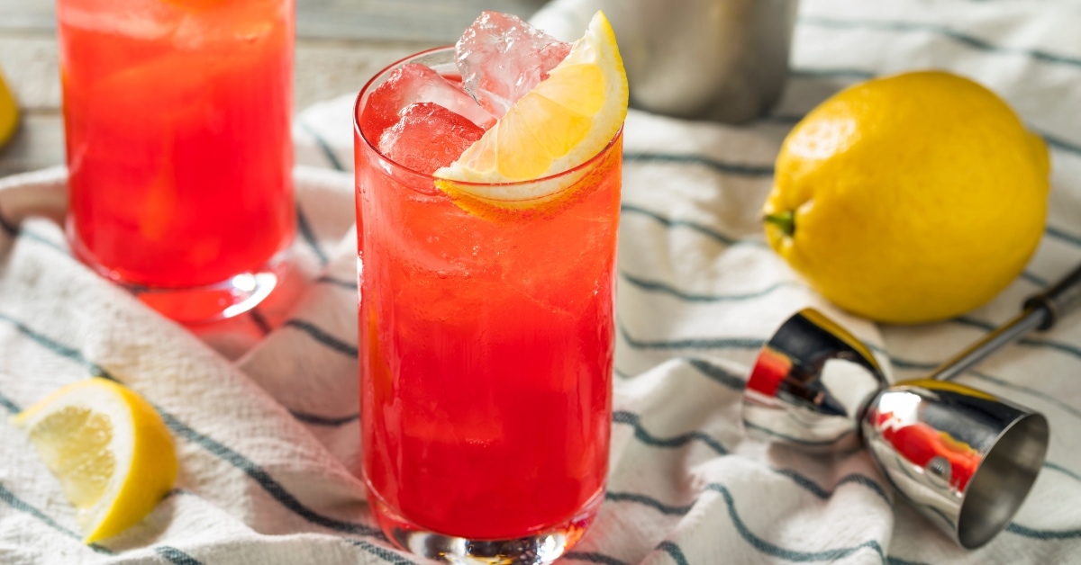 10 meilleurs cocktails au gin et à la prunelle à essayer à la maison