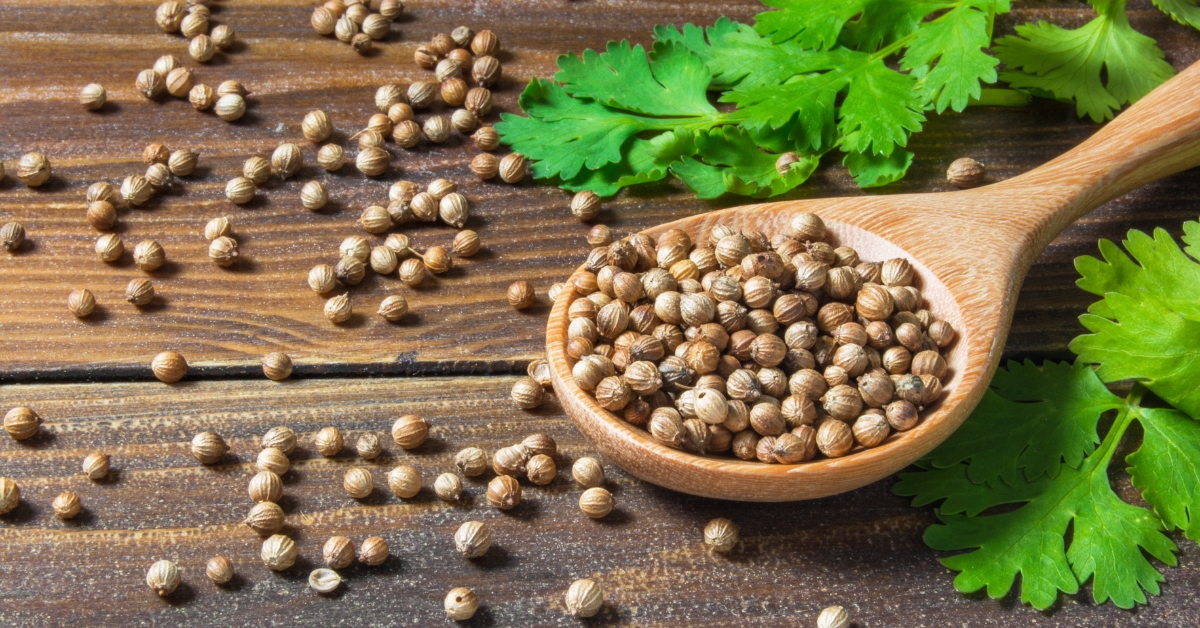 10 meilleurs substituts à la coriandre