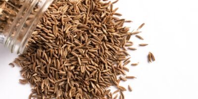 10 meilleurs substituts aux graines de carvi
