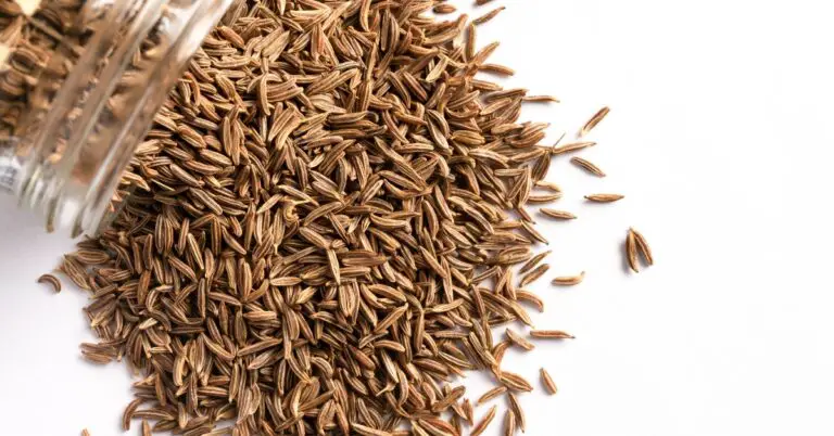 10 meilleurs substituts aux graines de carvi