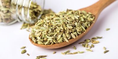 10 substituts aux graines de fenouil (meilleurs remplacements)