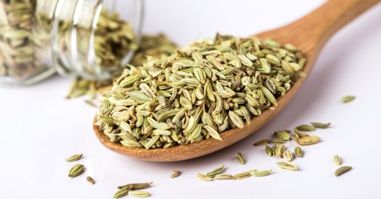 10 substituts aux graines de fenouil (meilleurs remplacements)