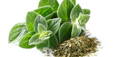 13 substituts à l&rsquo;origan (meilleures alternatives)