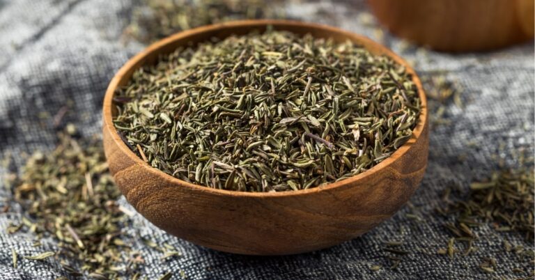 13 substituts au thym (meilleurs remplacements)